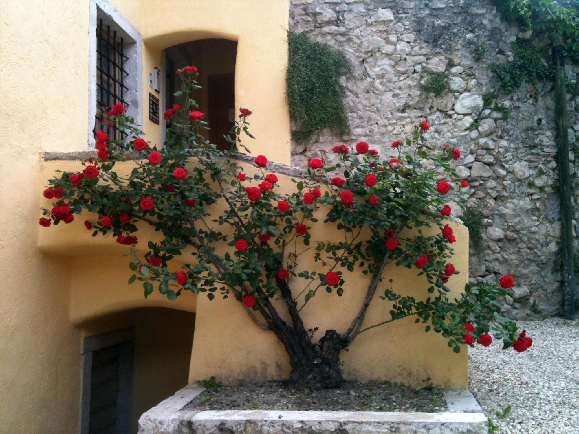 Relais Palazzo Lodron